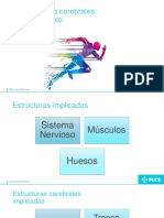 Semana 9. Proceso Del Movimiento