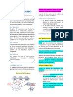 Catabolismo PDF
