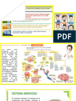 SESION Sistema Nervioso y Endocrino CT