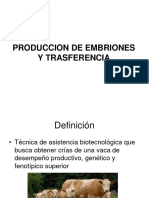 Producción de Embriones y Trasferencia en Bovinos