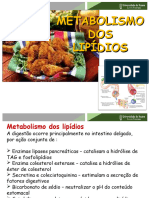 Metabolismo DOS Lipídios