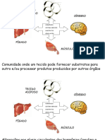 Insulina e Glucagon PDF