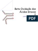 Beta Oxidação Dos Ácidos Graxos I: Lipólise