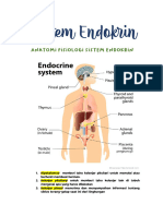 Sistem Endokrin Anfis, Hormon, Pemfis (Rangkuman)