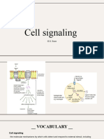 Cell Signaling - Jisoo