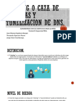 Whaling O Caza de Ballenas Y Tunelizacion de Dns