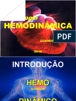 Hemodinamica Luandson