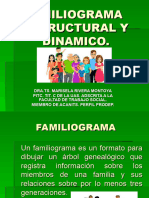 FAMILIOGRAMAS