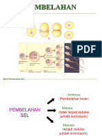 Bab 4 Pembelahan Sel