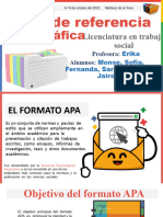 Investigacion Formato APA