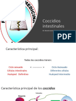 Coccidios Intestinales