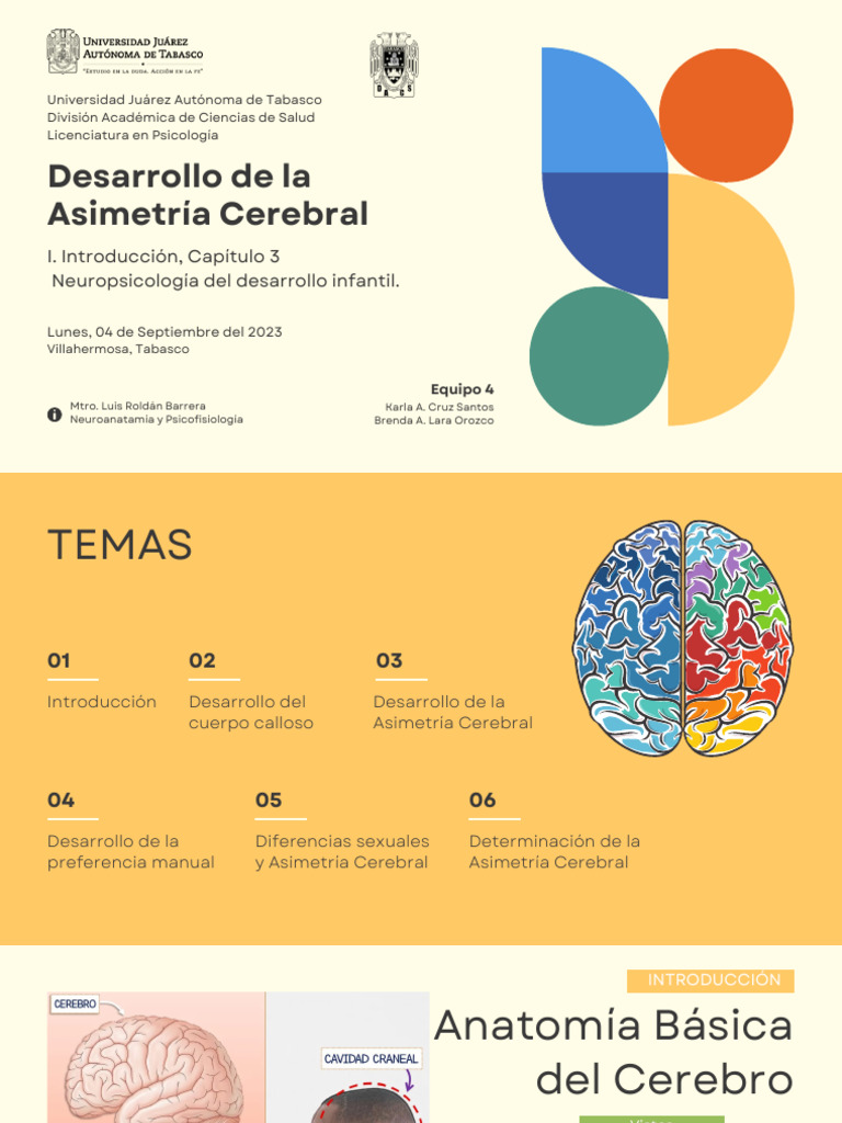 Asimetría Cerebral y Desarrollo Cognitivo | PDF | Cerebro | Hemisferio ...