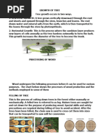 Timber Conversion Methods Explained | PDF