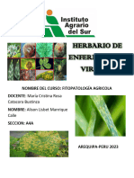 Herbario Enfermedades Virtual