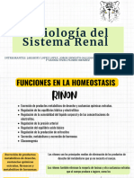 Fisiología Renal - Compressed