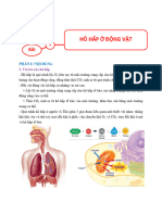 Bài 9. Hô Hấp ở Động Vật