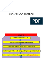 Sensasi Dan Persepsi