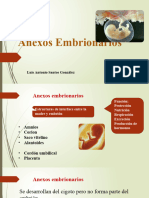 Anexos Embrionarios