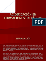 4acidificación en Carbonatos