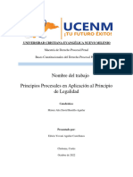 Edwin - Aguilar - Ensayo Principio de Legalidad