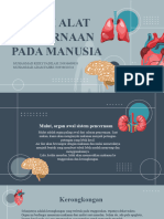 Kelompok 12 - Sistem Pencernaan Manusia