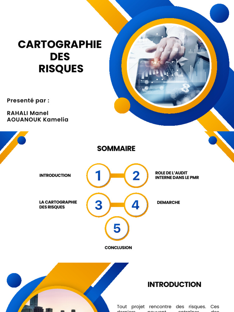 Cartographie Des Risques | Télécharger gratuitement PDF | Risque ...