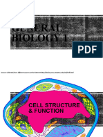 Cell Structure Function 1