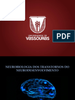 Aula 9 - Neurobiologia Dos Transtornos Do Neurodesenvolvimento