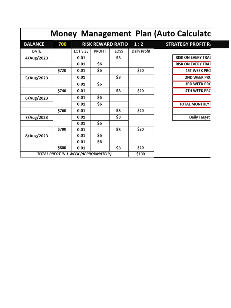 Money Management Plan PDF Investing Private Sector