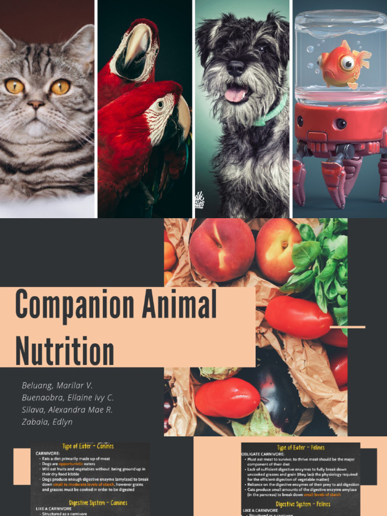 Canine and Feline Nutrition | PDF | Food Energy | Carbohydrates