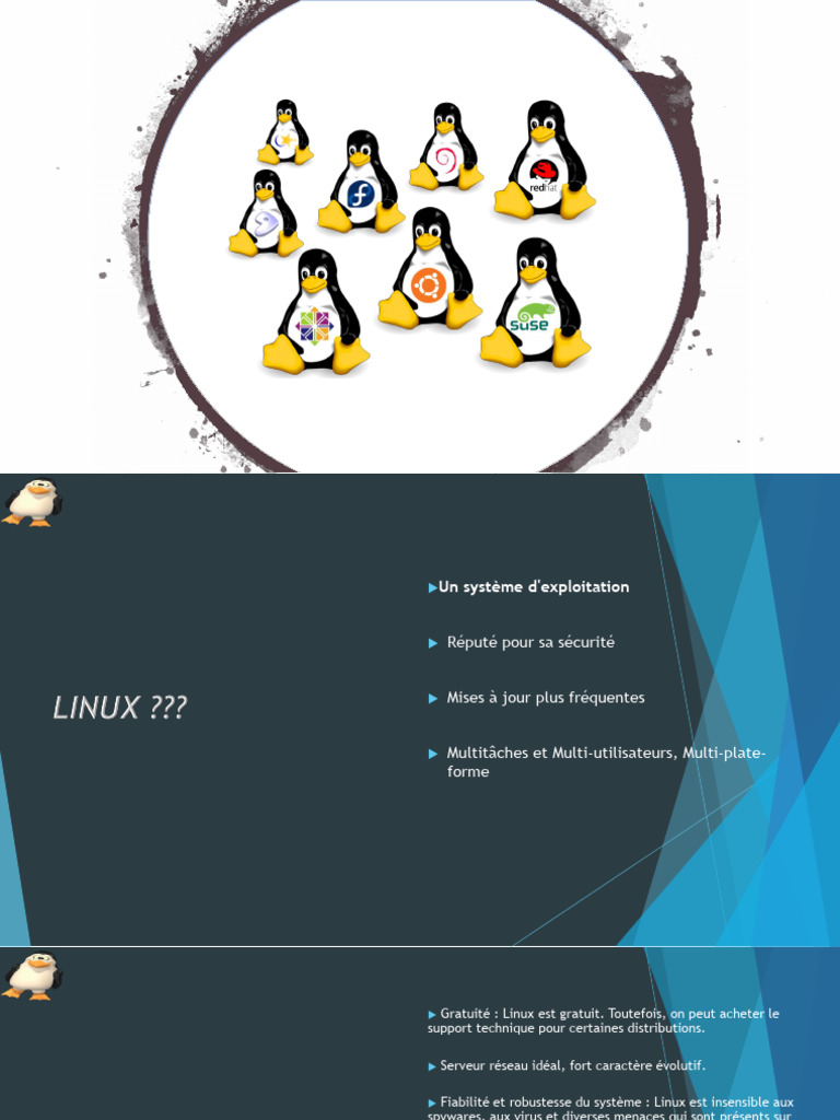 Linux : Histoire et Avantages | PDF | Linux | Distribution Linux
