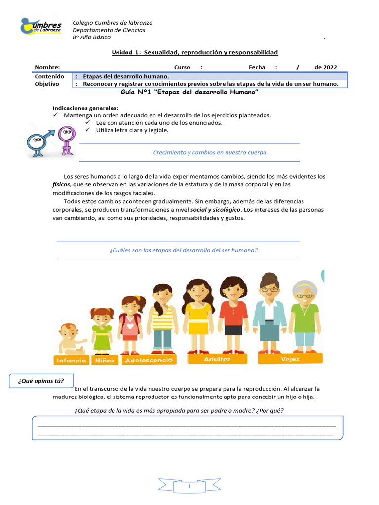 Etapas del Desarrollo Humano | PDF | Adolescencia | Adultos