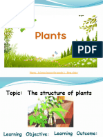 Plants Structure1