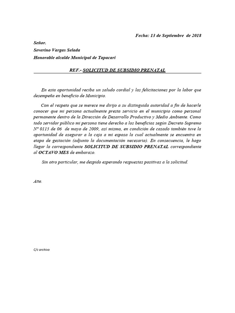 Solicitud de Subsidio Prenatal | PDF