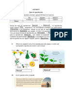 Actividad 4. Tipos de Reproducción