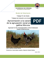 TFG-Caracterización Gallina Moruna