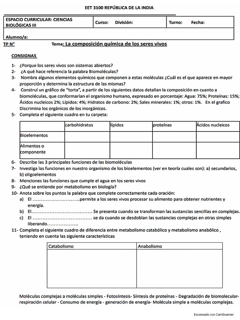 Composición Química de Los Seres Vivos | PDF