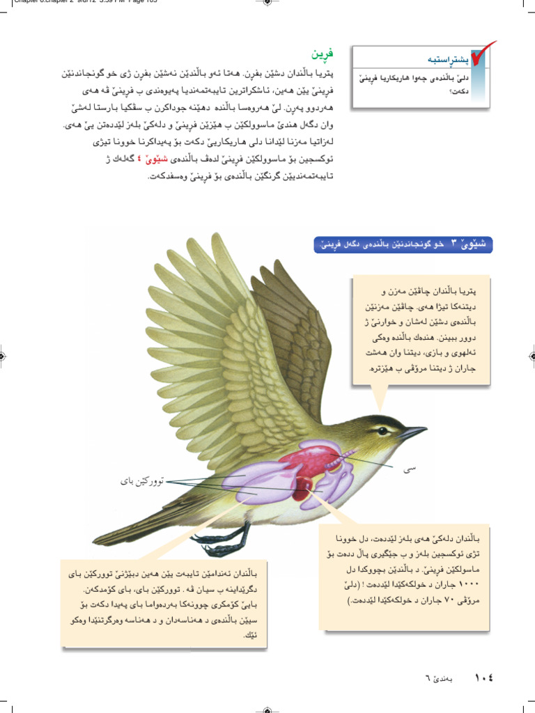 555 PDF