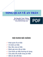 Nguyen Toan Thang SS2
