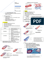 Anaphy Blood Vessels Lab - Handout