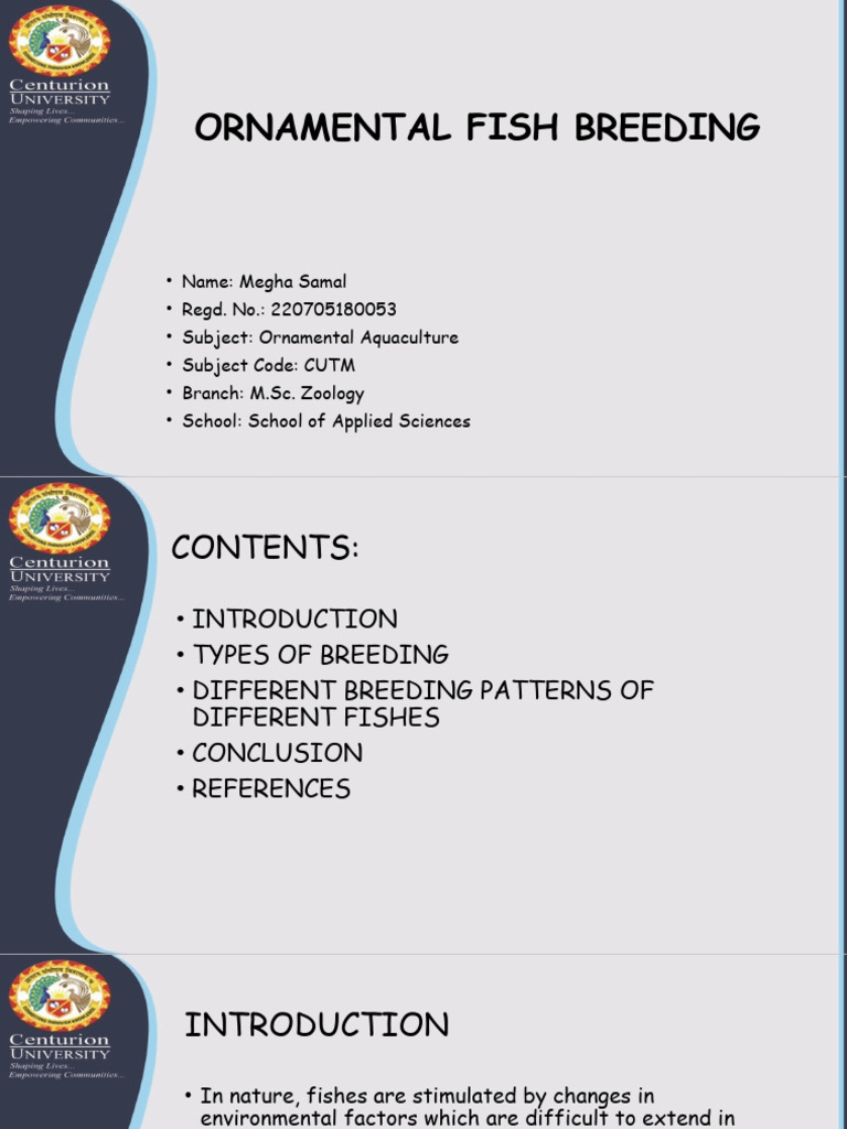 Ornamental Fish Breeding | PDF