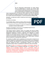 El Derecho A La Vivienda Derechos Humanos