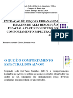 Sensoriamento Remoto e Geoprocessamento - Seminário