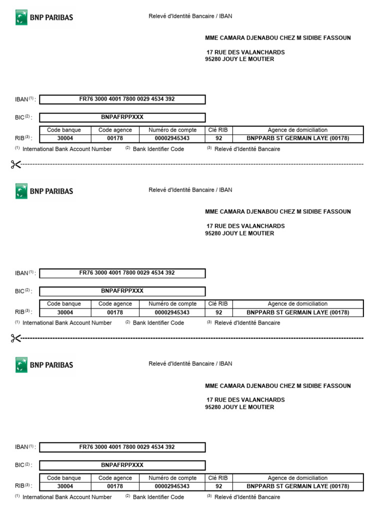 RIB et IBAN : Informations essentielles | PDF | Marchés financiers ...