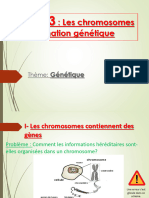 3eme Diapo Chapitre 3 Chromosomes Et Information Genetique 1