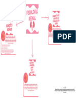 Mapa Mental Fisiologia Renal