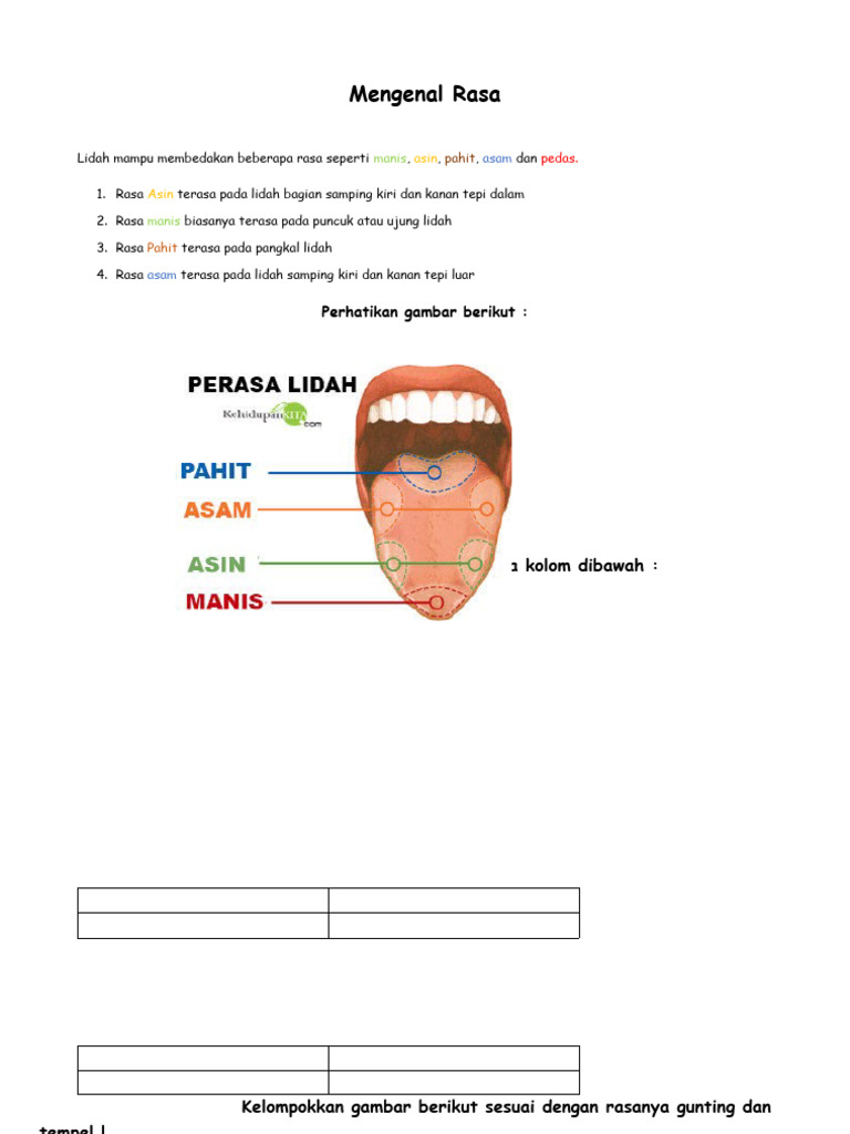Letak Rasa pada Lidah dan Jenisnya | PDF