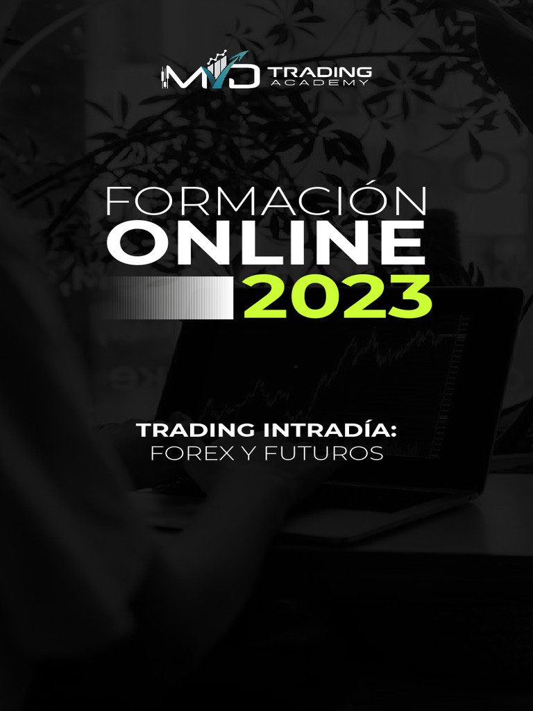 Programa DT Online | PDF | Dia de cambio | Comerciante (Finanzas)