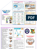 Triptico de Lavado de Manos 023037