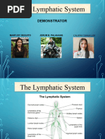 Lymphatic System